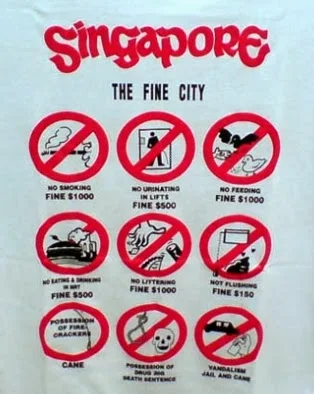 Singapore A Fine City