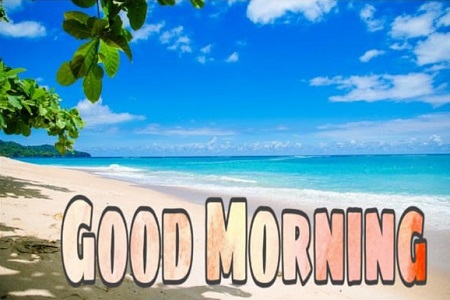Good Morning Good Morning