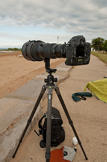 Nikon 600mm f/4. Gitzo GT3531s