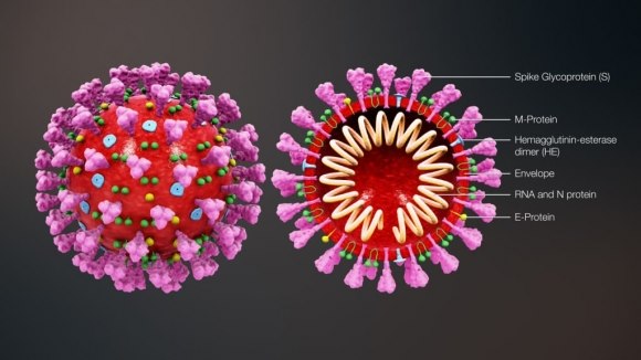 3 điểm nghi vấn mới tố cáo virus viêm phổi Vũ Hán là ‘nhân tạo’