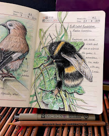 01-Buff-tailed-Bumblebee-Bombus-terrestris-J-Brown-www-designstack-co