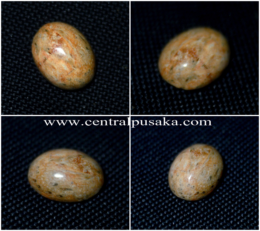 Mustika Sedulur Papat Limo Pancer Central Pusaka