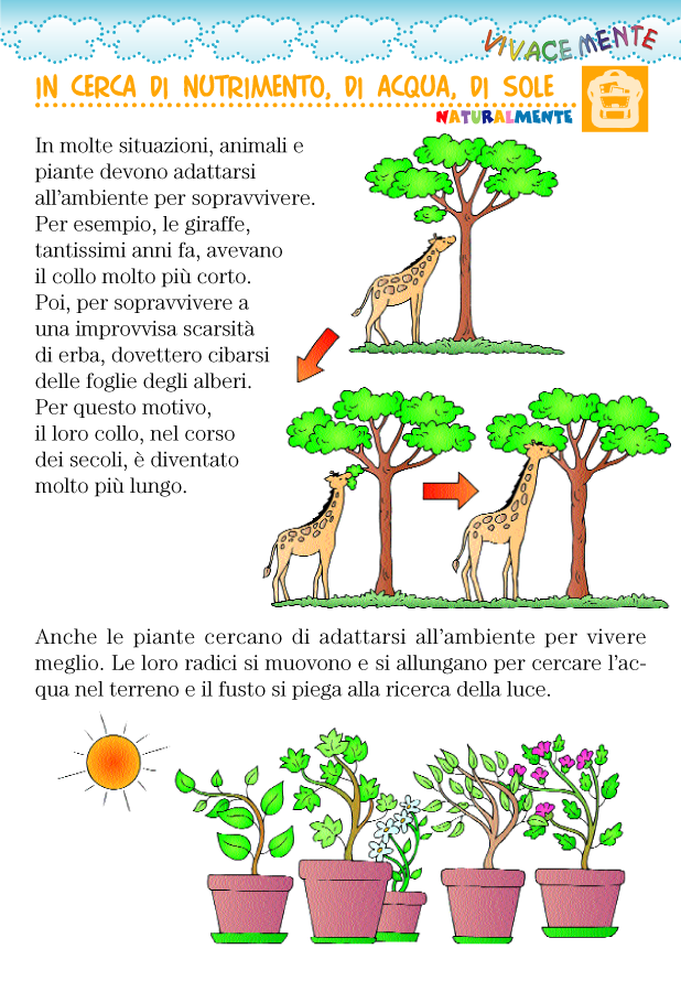 Vivacemente Il Giornalino Del Cuore E Della Mente Adattarsi All Ambiente Circostante Per Sopravvivere