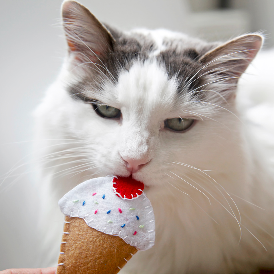 Creativity Unmasked Simple Summer Ice Cream Cone Felt Cat Toy