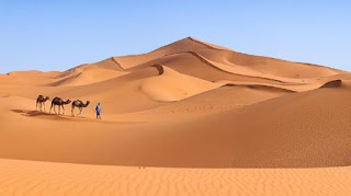 Letak dan Luas Gurun Sahara