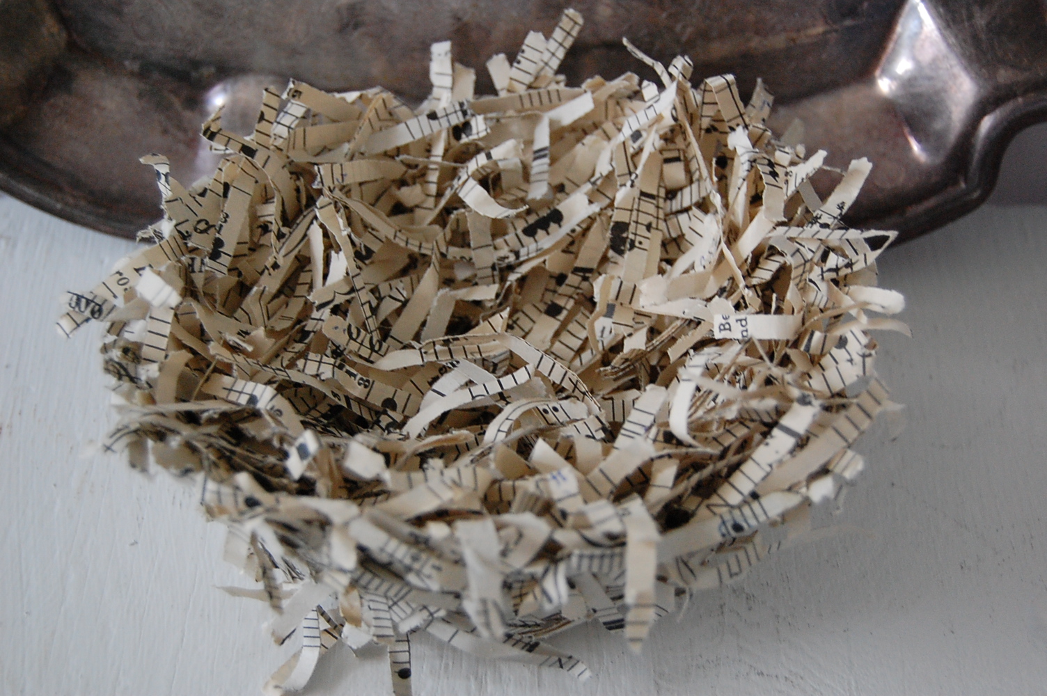 Bird nest price image