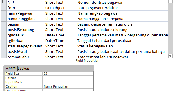 Membuat Tabel Biodata - Access Terapan