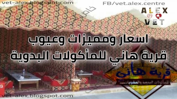 اسعار وصور مطعم قرية هاني للمأكولات البدوية في الاسكندرية والقاهرة
