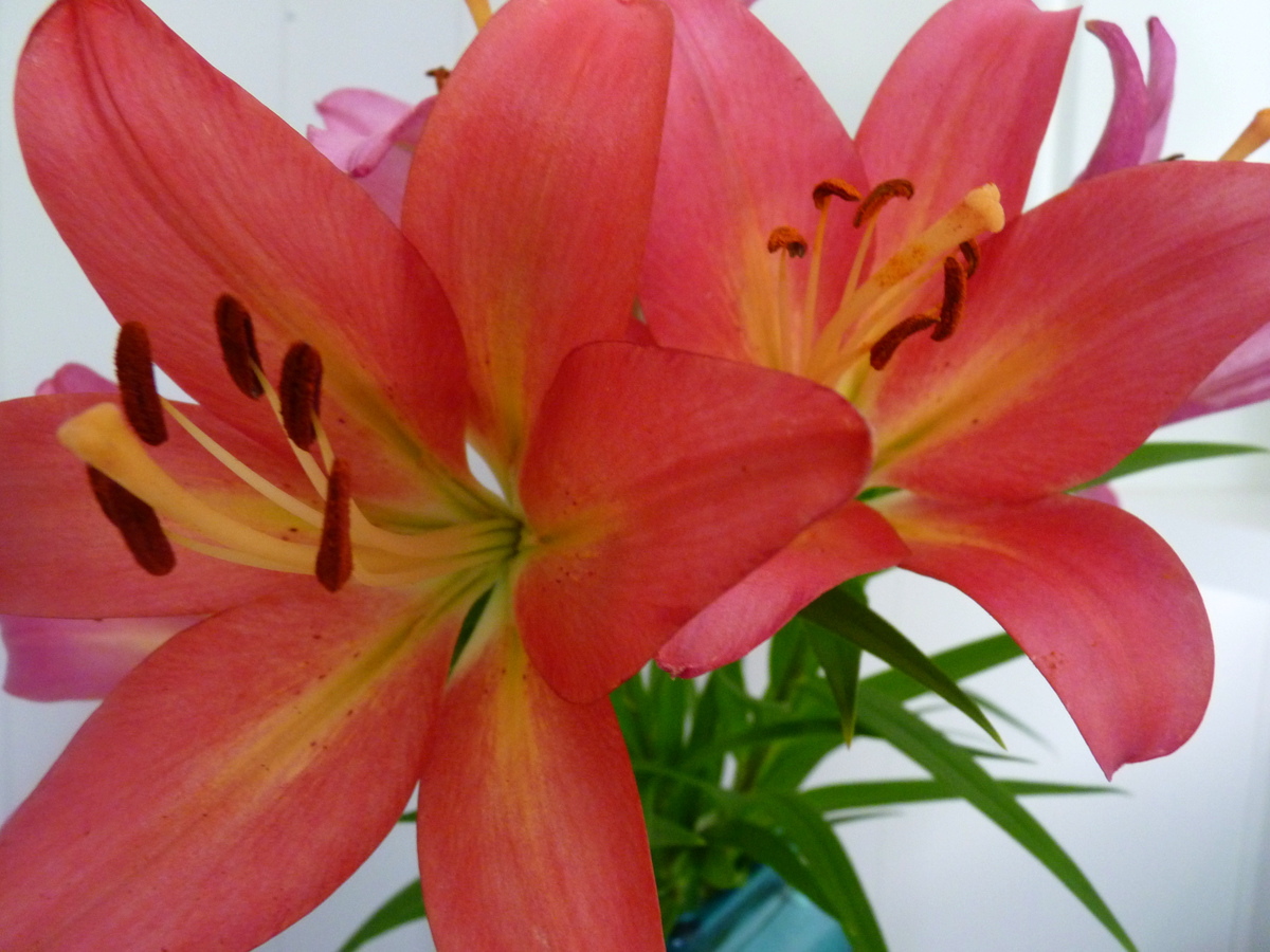 Secrets to Staging with Silk Flowers DIY Home Staging Tips