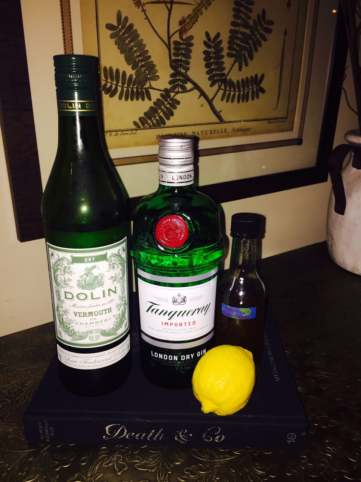 Drinking the Death & Co. Book Martini