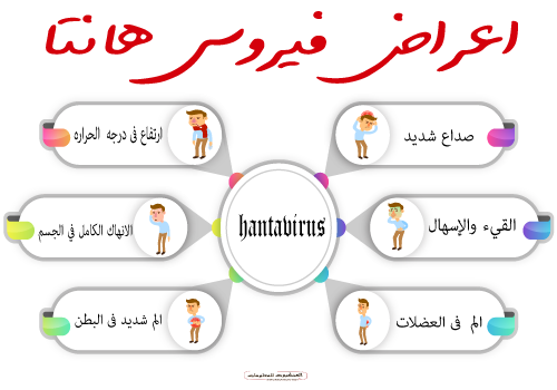 حقائق لابد معرفته عن فيروس هانتا الجديد