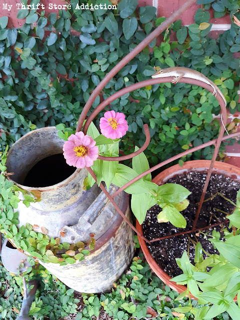 Check out these 5 thrifty ways to make your summer outdoor space look more inviting even when temperatures soar! 5 thrifty ways to create a more inviting outdoor space