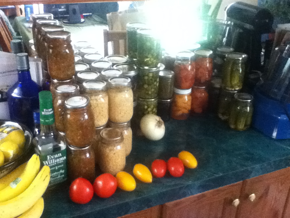 Bees and Apples The Increasing Pantry