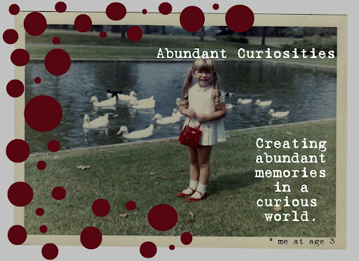 Abundant Curiosities