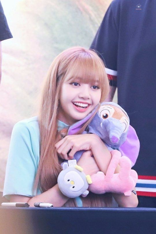 Best Lisa Blackpink Cute Photo Collection WaoFam