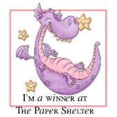 i won at 'Papershelter'