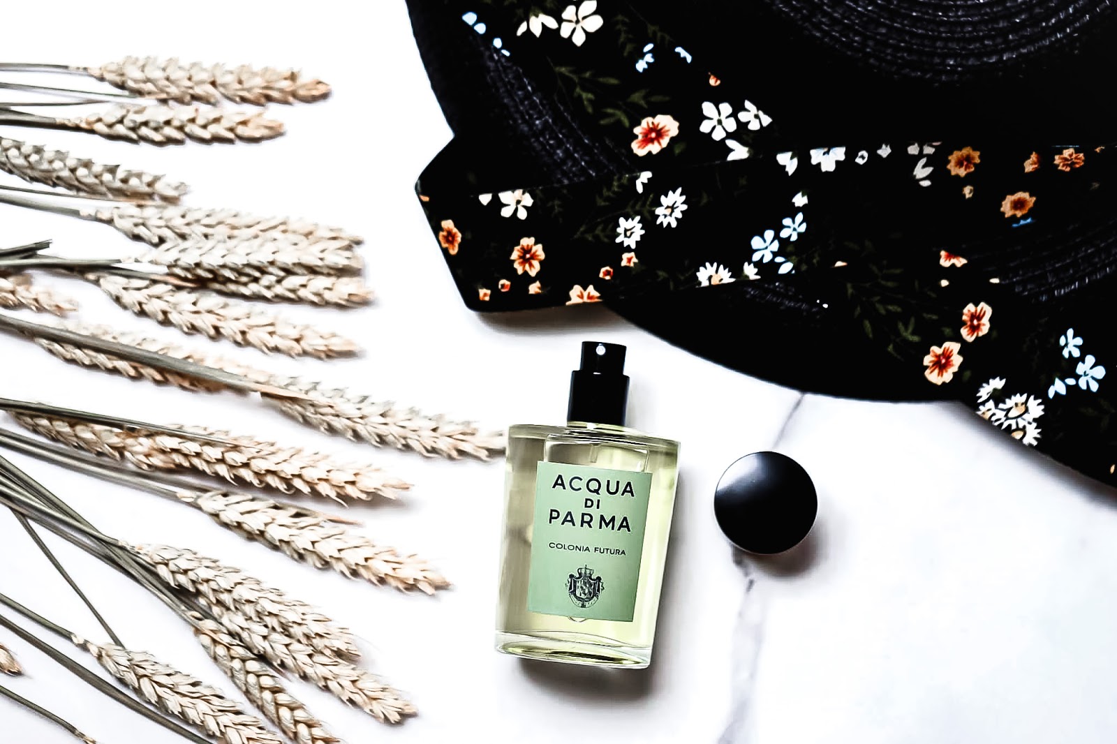 Acqua Di Parma Colonia Futura Ou Comment Conjuguer Le Luxe Et L Eco Responsabilite Kleo Beaute