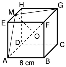 Diketahui kubus abcd efgh dengan panjang rusuk 6 cm. m adalah titik potong garis eg dan hf jarak ant