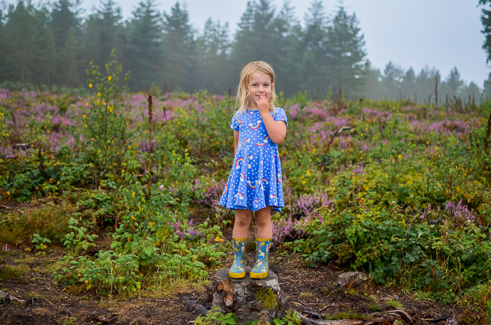 Haldon Forest, Exploring Devon, Forestry England