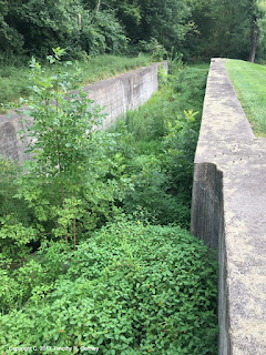 Photo of Lock 27 South of the Miami & Erie Canal