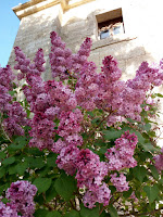IMG-20170422-WA0005.jpg