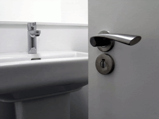 Put Me In Charge: Bathroom Door Handles