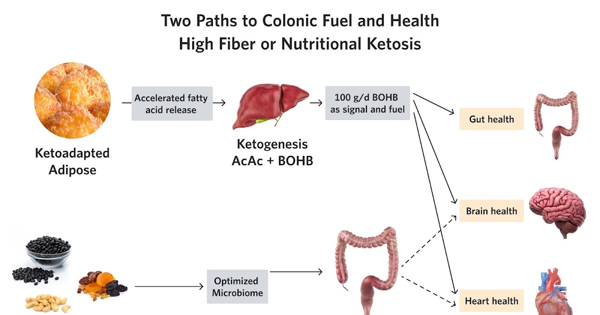 KETOSIS - WHAT IS IT? NUTRITIONAL KETOSIS. KETOSIS AND HYPOGLYCEMIA