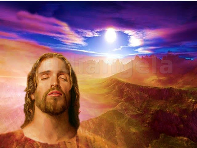 Le ali di Angela Gesù contro scribi e farisei