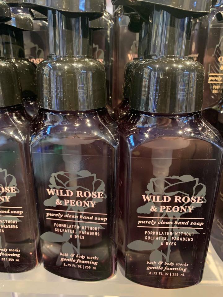 Life Inside the Page Bath & Body Works Purely Clean Hand Soaps