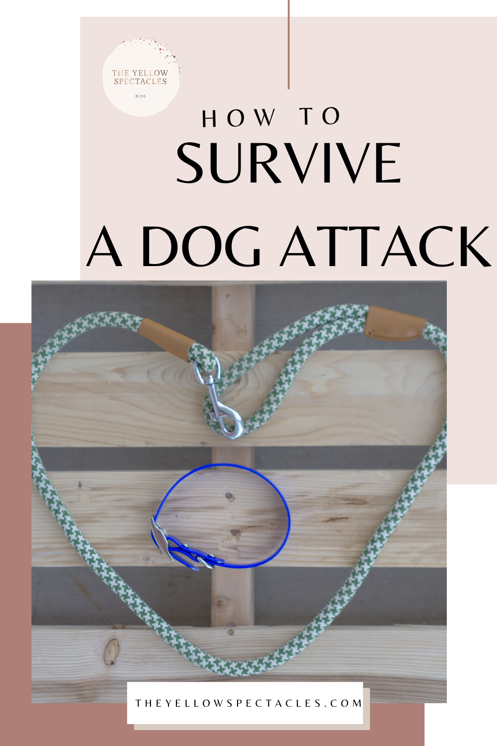 dog attacks