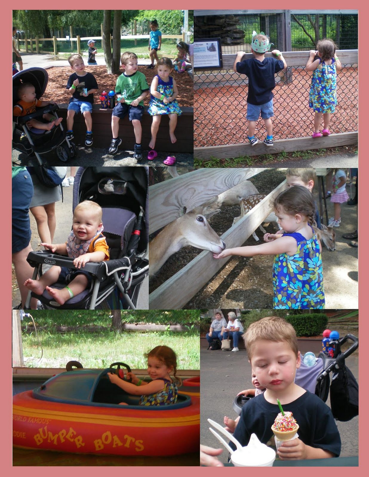 The Sewells: York's Wild Kingdom