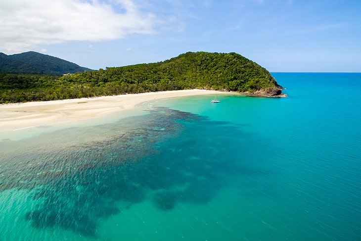 tours in cairns and port douglas