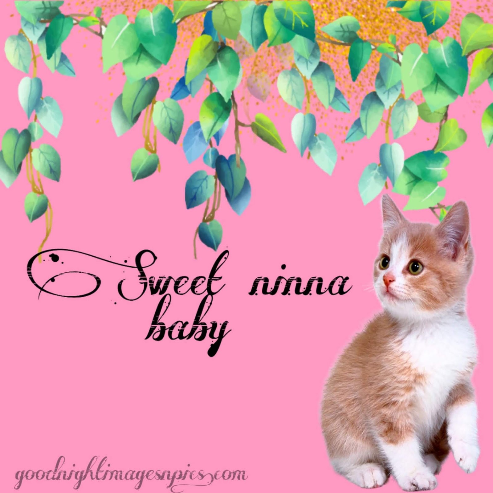 Good Night Cute Images Good Night Cute Images