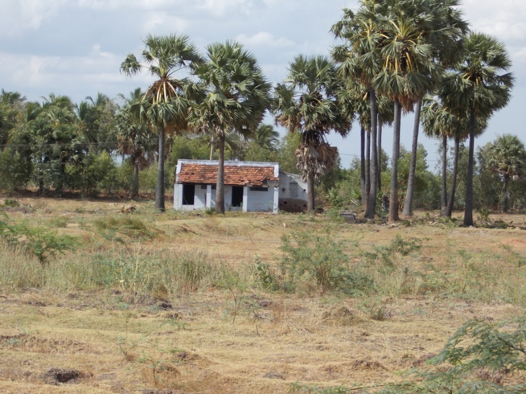 SRI BALAJI REALS 53 Acre Farm land for sale in Perunkulam Tuticorin
