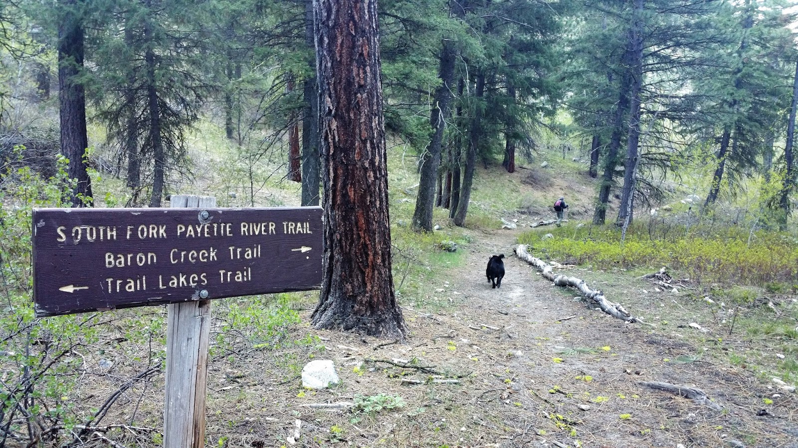 Treasure Seekers Grandjean Idaho Baron Creek Trail April 2016