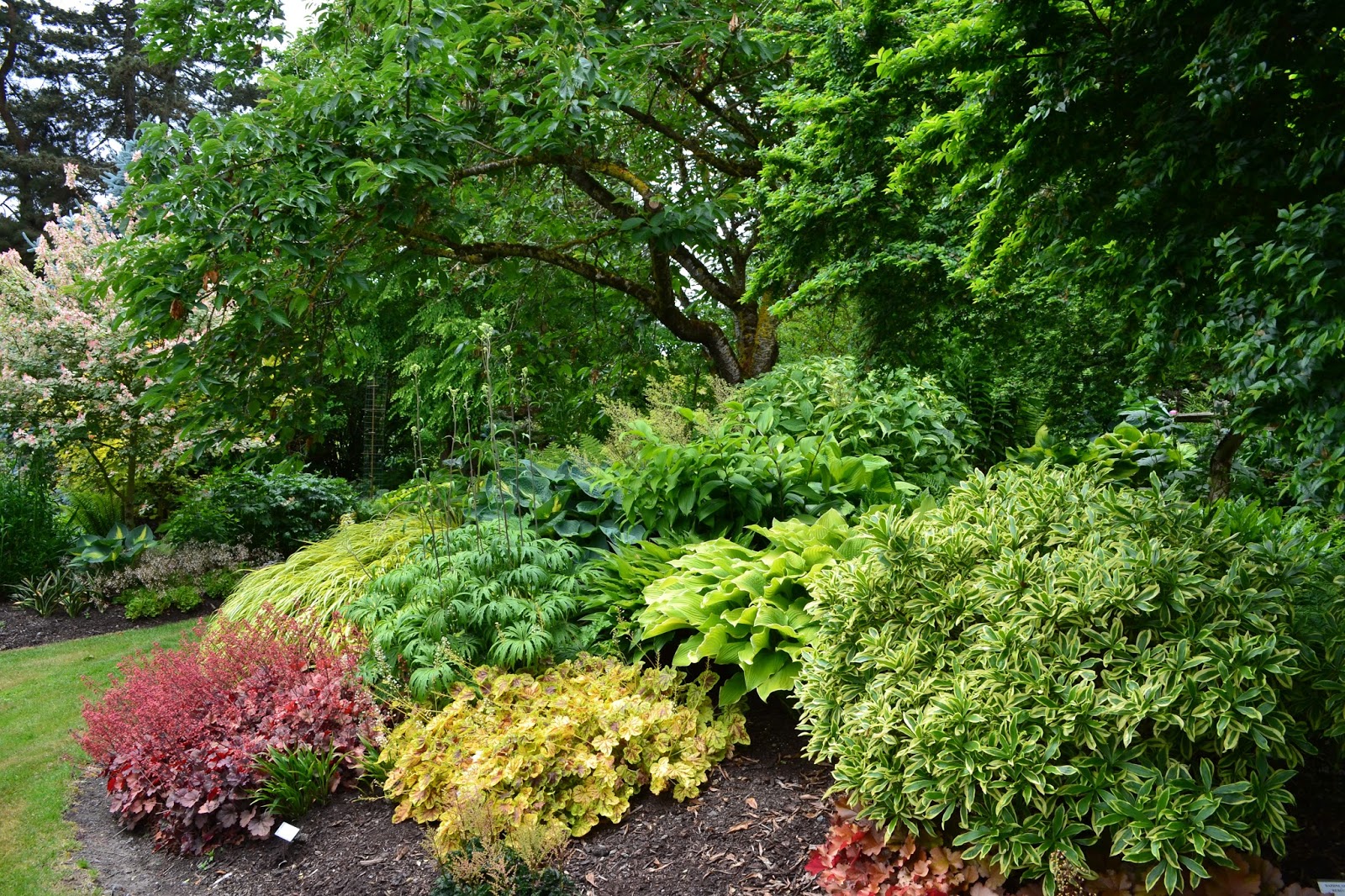 Linda Letters Sebright Gardens