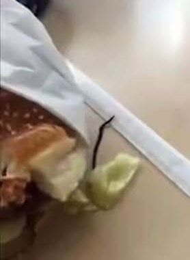 Diner finds live worm in her hamburger after biting into it (photo)