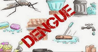Essay on dengue