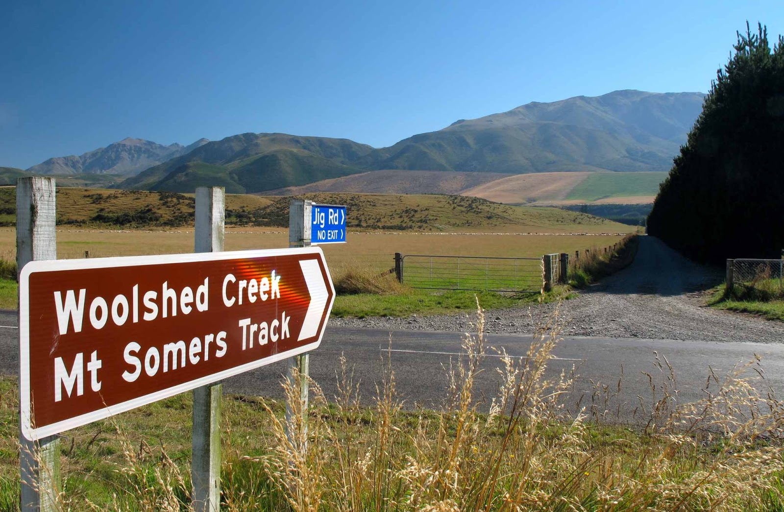 Tramping in the New Zealand backcountry NZ Bush Adventures Woolshed