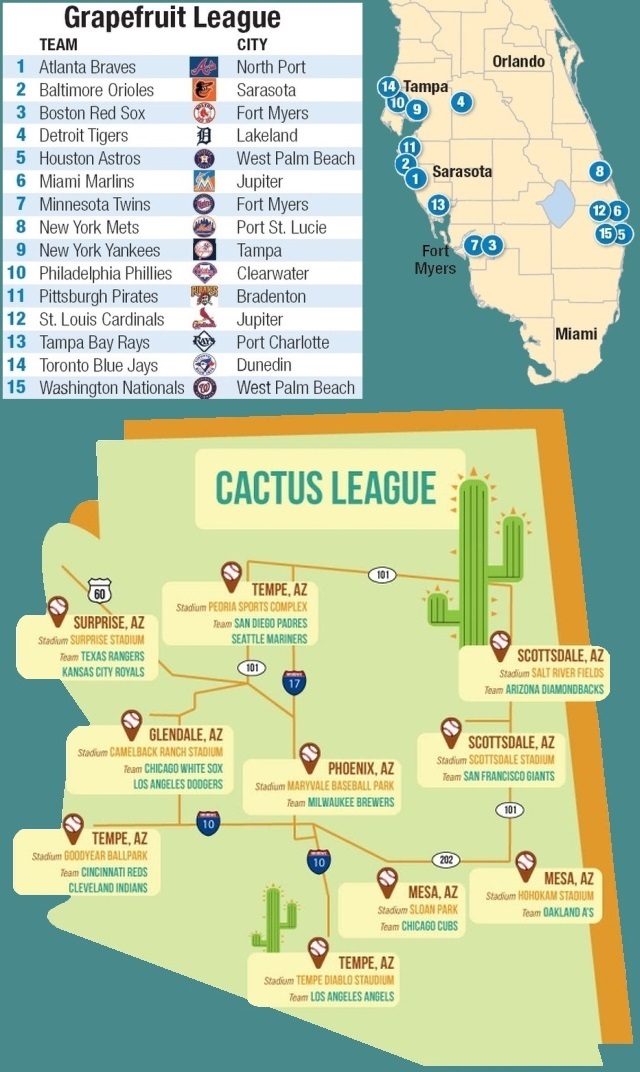 Neon Rocketship The Cactus Grapefruit Plan