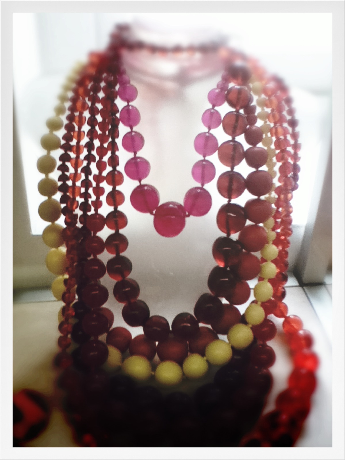 Molly's Maison Dinosaur Designs Extinct store visit