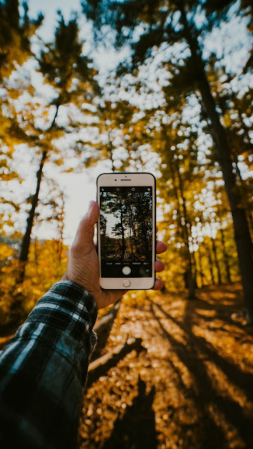 HD Wallpaper Phone, Hand, Photo, Nature