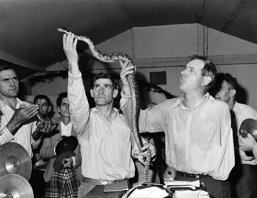 Snake handling by members of a sect