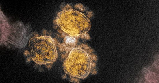 "كوفيد -20" فيروس تاجى جديد يهدد أوروبا..