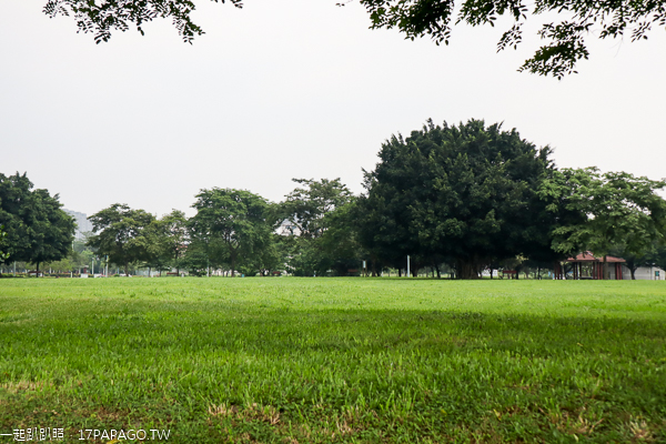 台中北屯|廍子公園|黃花風鈴木|滑板場|巨人腳印公園|綠籬迷宮|生態池|拱橋 台中北屯|廍子公園|黃花風鈴木|滑板場|巨人腳印公園|綠籬迷宮|生態池|拱橋