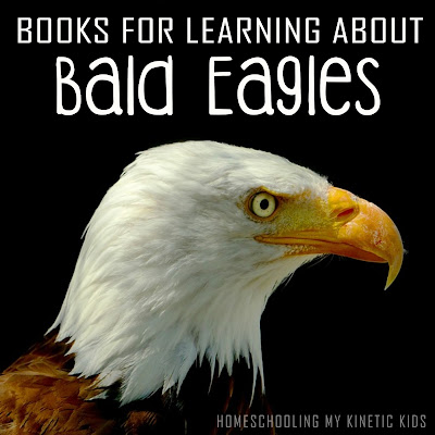 Birds of Prey are a fascinating topic for kids, whether they're excited about bald eagles or the hooting of owls.  Great books for homeschoolers.