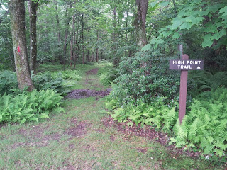 Skookum Traveler: Mount Davis (PA)