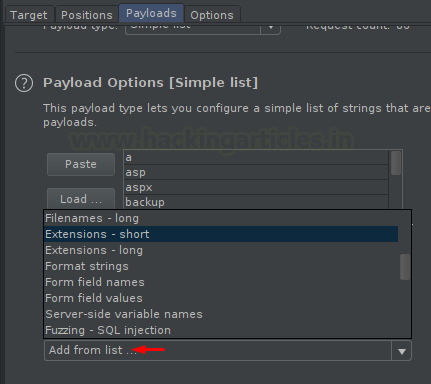 Burp Suite Fuzzing with Intruder
