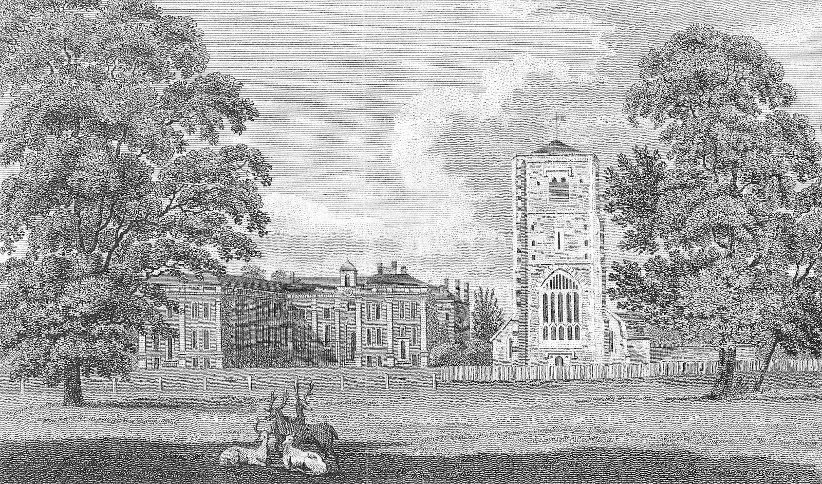 The histories of Beddington CC