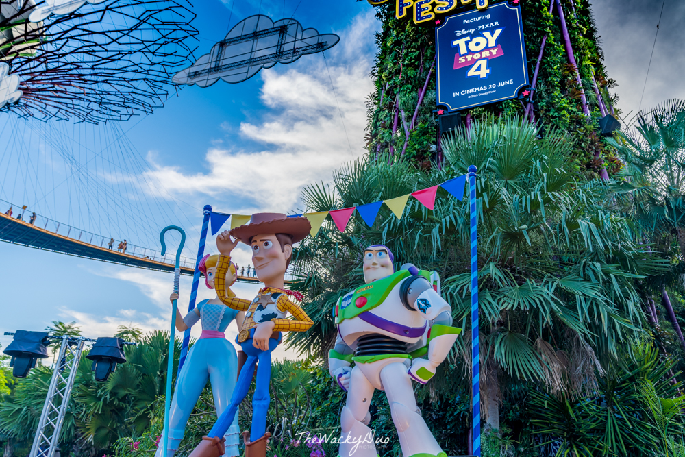 toy story garden toys
